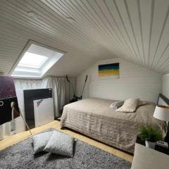 Cozy home for big travel group close to Volvo