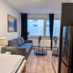 Apartment with kitchen, bed, sofa
