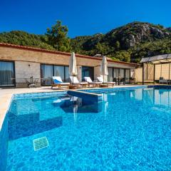 Eco Villa Hava