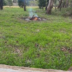 Alamos de Carlos Keen