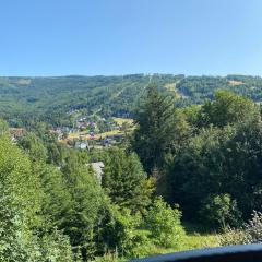 Dom Na Widoku w górach Szczyrk