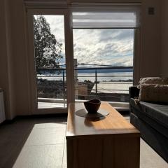 Aparts Arrayanes y Ñires