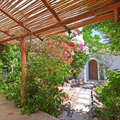 Private pool, Oceanview Rooftop in Historic La Paz