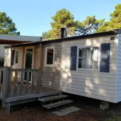 Mobil-home spacieux avec terrasse - 6 personnes - API-1-52-718