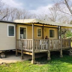 Mobil home avec terrasse pour 6 personnes - API-1-52-397