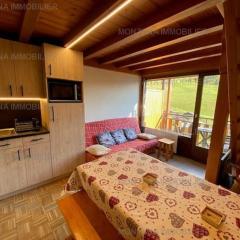 Appart. 2 pièces + coin montagne, 6 pers., proche pistes - Le Grand-Bornand - FR-1-458-244