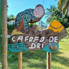 Cafofo de Dri