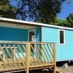 Mobil-home pour 4 pers avec terrasse - API-1-52-739