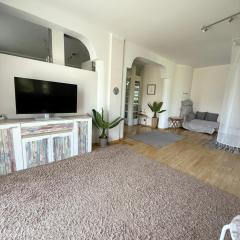 Big Apartment With Garden