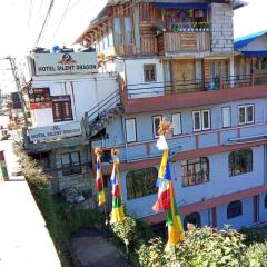 Silent dragon hotel