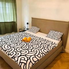 Spacious Old Town Flat, Munster