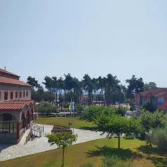Canvista