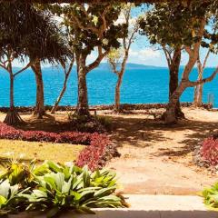 Seahorse Lodge - Port Vila's WOW Factor! Huge 5 Bedroom, 3 Bath Seaside Paradise