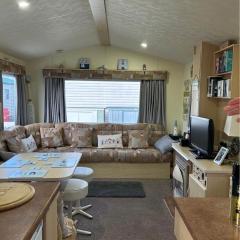 M15 Meadow View Golden palm