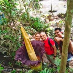 Batu Katak - Zoey's Homestay