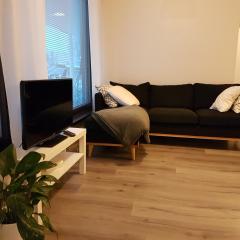Lapland Spacious Apartment, Rovaniemi
