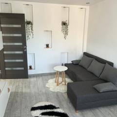 Edy apartament