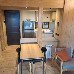 Monoambiente centrico con jardin