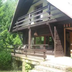 Dom letniskowy POŚRÓD KASZUBSKIEGO LASU