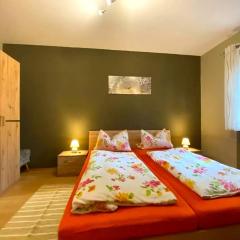 Comfortable apartment in Zenting in Lower Bavaria