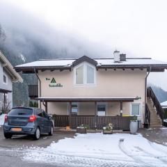 Pretty Apartment in Hollersbach near forest