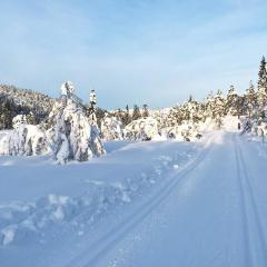 15 person holiday home in Treungen