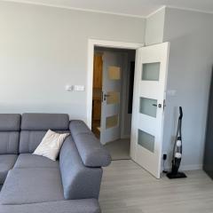 Apartament Esensja III