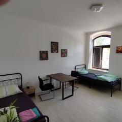 FLEX Aparts - möblierte 2-Raum Wohnung in Chemnitz mit Balkon