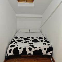 Saško Apartment