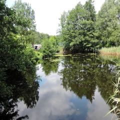 Ko czewo Lake & Forest Farm Stay