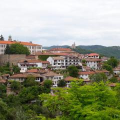 Hotel Terazini