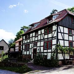 Chic Apartment in Thuringia with Sauna