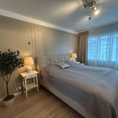 Stylish 3BR Apt Near Downtown