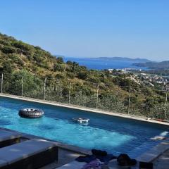 villa bormes les mimosas