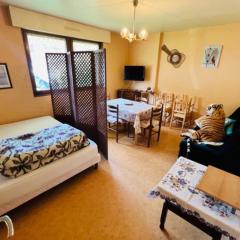 Low price stay for 8 in Gérardmer!