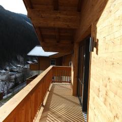 Modern chalet with sauna near ski area in Saalbach-Hinterglemm Salzburgerland