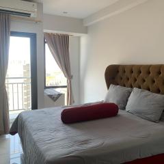 Delft Apartment Type Studio unit 1030 By Millpro