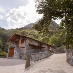 FUENTE OSCURA