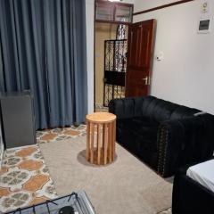 Studio Apartment Naivas Mwembe tayari Cbd