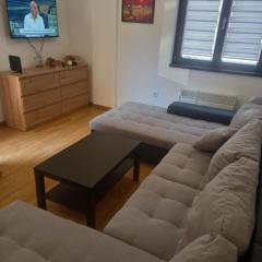 Zlatiborski konaci Apartman Petrovic