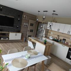 Luxury new apartment