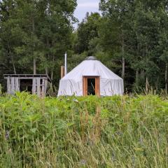 Cozy Yurt on a Heritage Farm with Trails, Pond, and Sauna