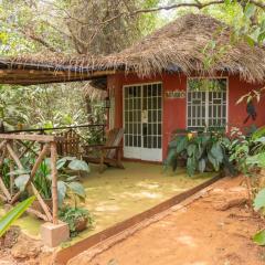 Tacugama Chimpanzee Sanctuary