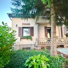 Fészek Fogadó - Pension Nest