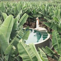 Hacienda Los Orovales