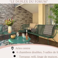 Le Duplex du Forum Arles centre