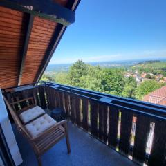 Gemütliche Wohnung im schönen Schwarzwald