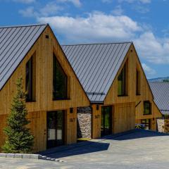 Czorsztyn Prestige Ville