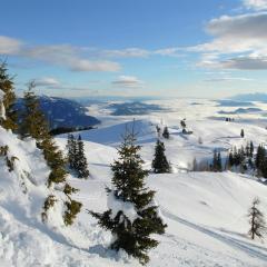 Holiday Home in Eberndorf near Petzen Ski Area