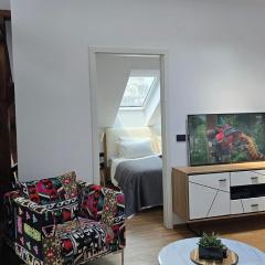 Funky Stylish Penthouse